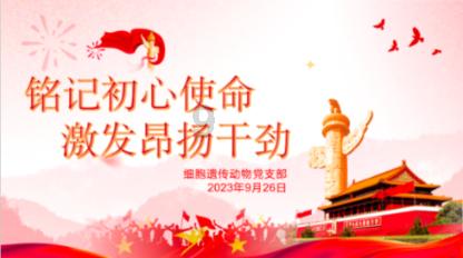 哪里有卖烤肉的？